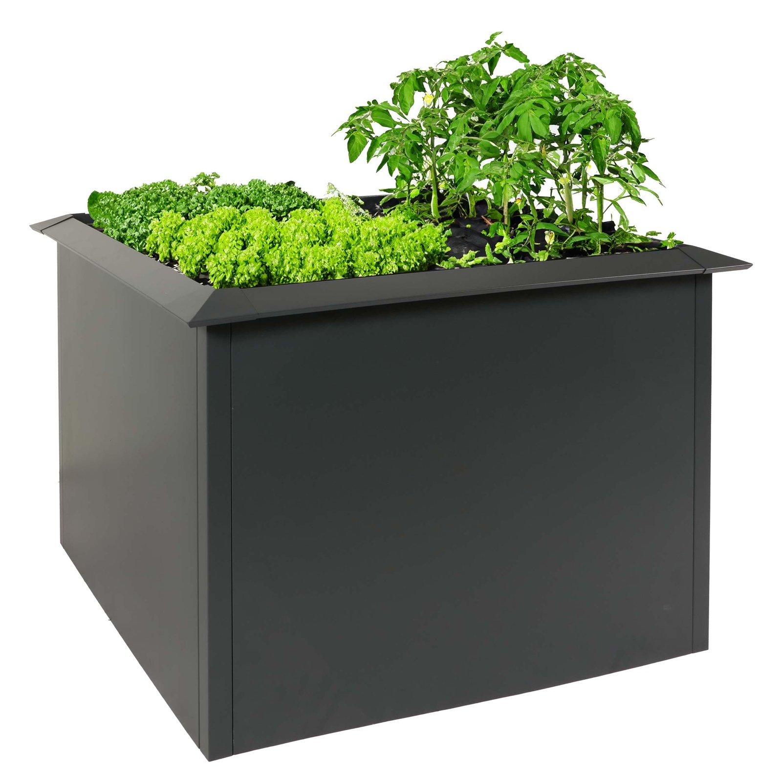 81OAxu6G-4L Metall-Hochbeet 110×110×78 cm – Pulverbeschichtetes Eisen mit Schneckenkante, 78 cm Arbeitshöhe, 44 kg, Anthrazit – Bild 1